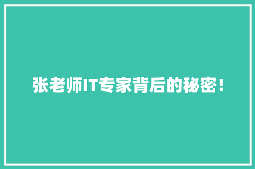 张老师IT专家背后的秘密！ 百度SEO