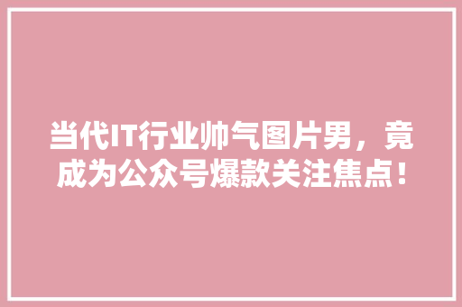 当代IT行业帅气图片男，竟成为公众号爆款关注焦点！ 搜狗SEO