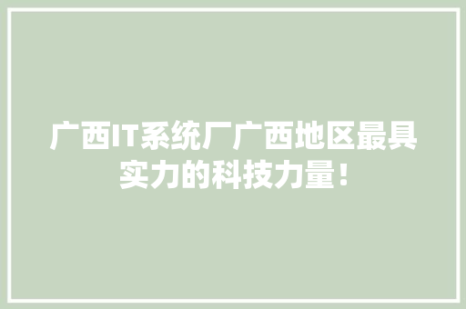 广西IT系统厂广西地区最具实力的科技力量！ 神马SEO