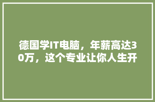 德国学IT电脑，年薪高达30万，这个专业让你人生开挂！ 网站建设公司