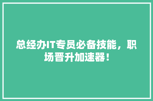 总经办IT专员必备技能，职场晋升加速器！ SEO关键词