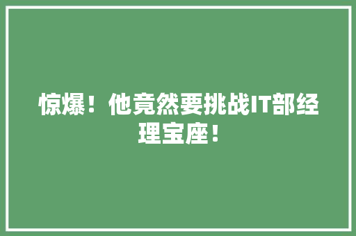惊爆！他竟然要挑战IT部经理宝座！ 网站建设公司