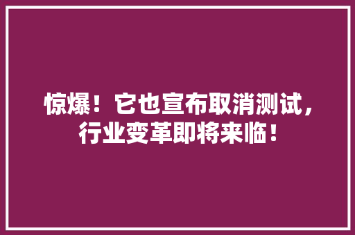 惊爆！它也宣布取消测试，行业变革即将来临！ 必应SEO