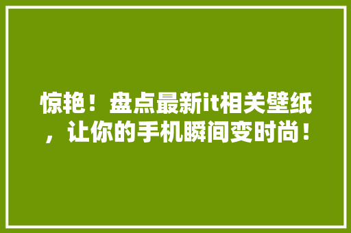 惊艳！盘点最新it相关壁纸，让你的手机瞬间变时尚！ 必应SEO