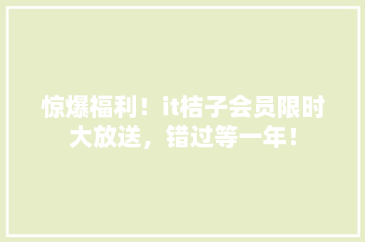 惊爆福利！it桔子会员限时大放送，错过等一年！ SEO关键词