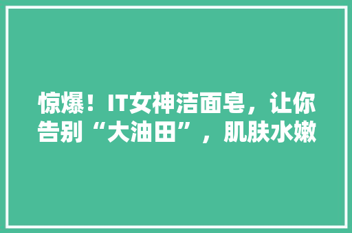惊爆！IT女神洁面皂，让你告别“大油田”，肌肤水嫩如初！ 必应SEO
