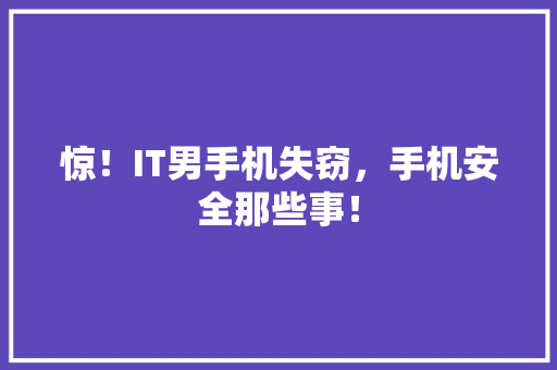 惊！IT男手机失窃，手机安全那些事！ SEO关键词