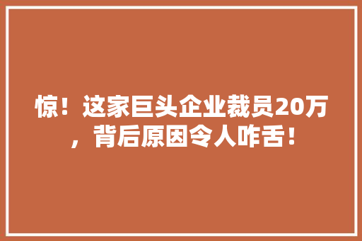 惊！这家巨头企业裁员20万，背后原因令人咋舌！ SEO关键词