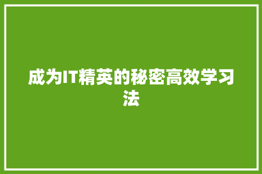 成为IT精英的秘密高效学习法 神马SEO