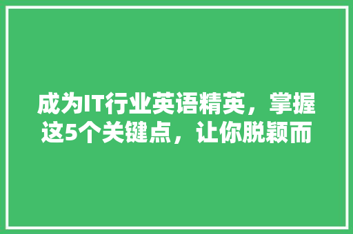 成为IT行业英语精英，掌握这5个关键点，让你脱颖而出！ 神马SEO