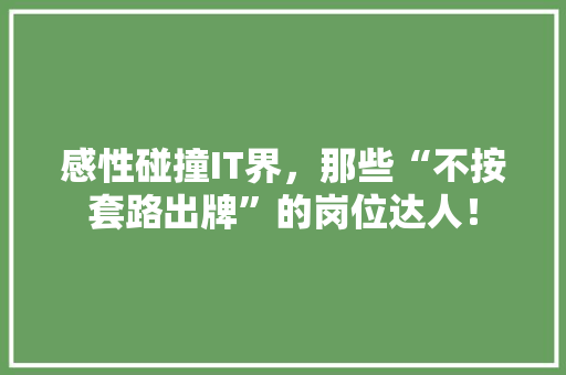 感性碰撞IT界，那些“不按套路出牌”的岗位达人！ 必应SEO