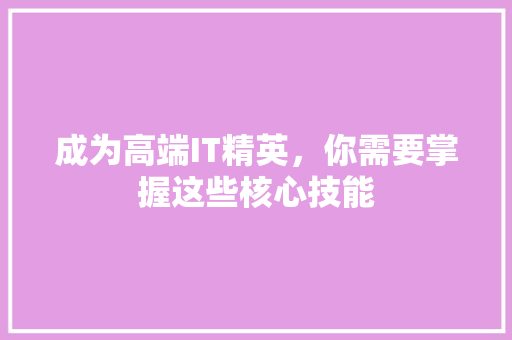 成为高端IT精英，你需要掌握这些核心技能 必应SEO