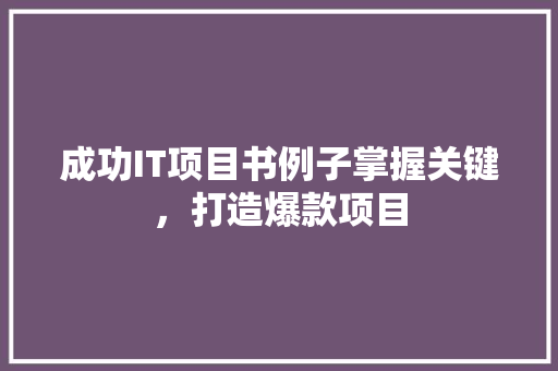 成功IT项目书例子掌握关键，打造爆款项目 神马SEO