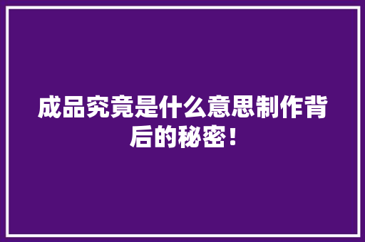 成品究竟是什么意思制作背后的秘密！ SEO关键词