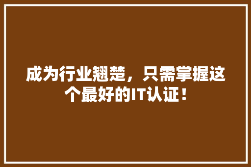 成为行业翘楚，只需掌握这个最好的IT认证！ 网站建设公司