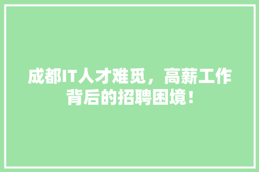成都IT人才难觅，高薪工作背后的招聘困境！ 必应SEO