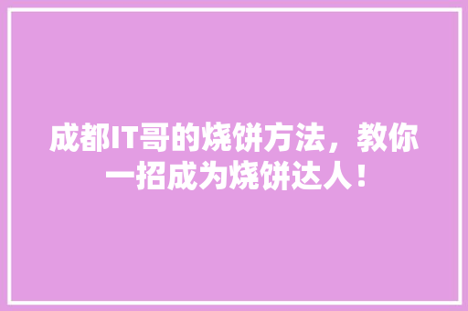 成都IT哥的烧饼方法，教你一招成为烧饼达人！ 搜狗SEO