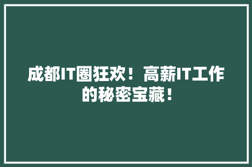 成都IT圈狂欢！高薪IT工作的秘密宝藏！ 必应SEO