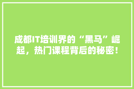 成都IT培训界的“黑马”崛起，热门课程背后的秘密！ SEO关键词