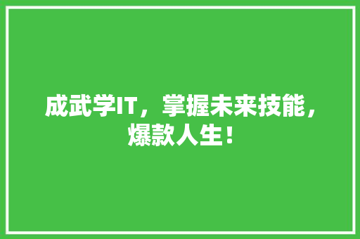 成武学IT，掌握未来技能，爆款人生！ 必应SEO