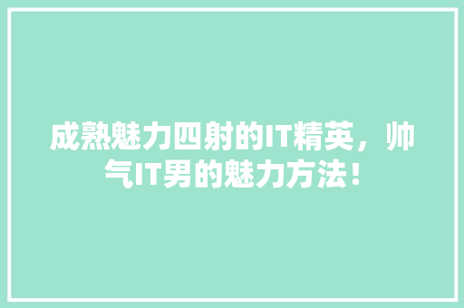 成熟魅力四射的IT精英，帅气IT男的魅力方法！ SEO关键词