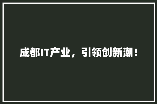 成都IT产业，引领创新潮！ 网站建设公司