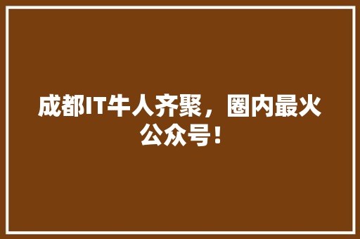 成都IT牛人齐聚，圈内最火公众号！ 必应SEO