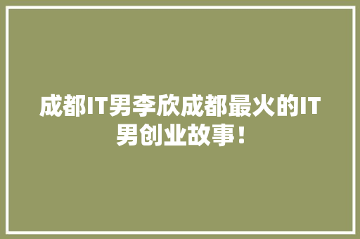 成都IT男李欣成都最火的IT男创业故事！ 百度SEO
