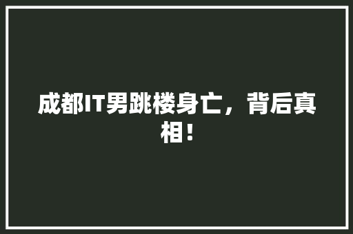 成都IT男跳楼身亡，背后真相！ SEO关键词