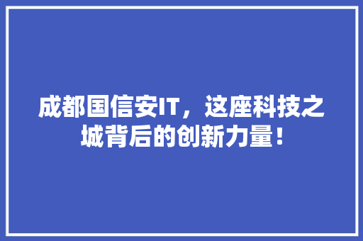 成都国信安IT，这座科技之城背后的创新力量！ 神马SEO