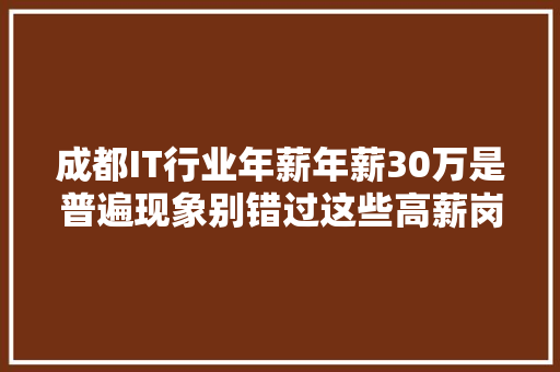 成都IT行业年薪年薪30万是普遍现象别错过这些高薪岗位！ 网站建设公司