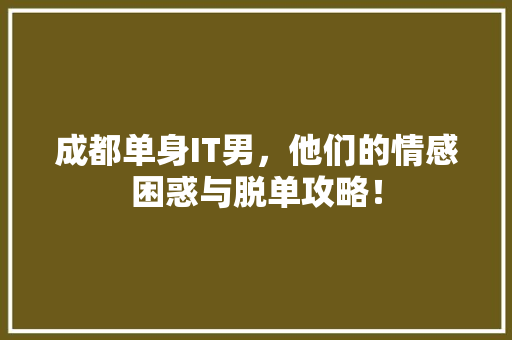 成都单身IT男，他们的情感困惑与脱单攻略！ 网站建设公司