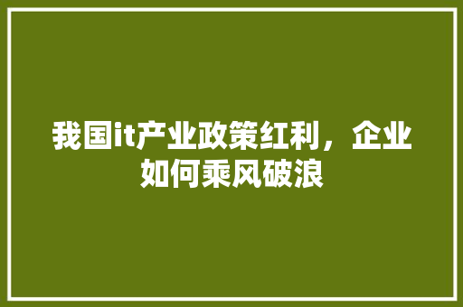 我国it产业政策红利，企业如何乘风破浪 搜狗SEO