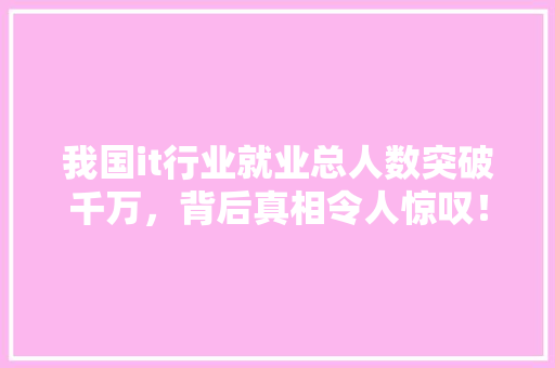 我国it行业就业总人数突破千万，背后真相令人惊叹！ 网站建设公司