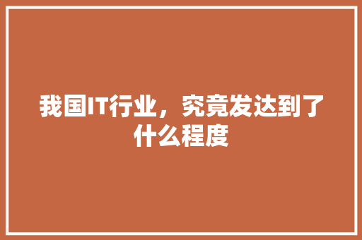 我国IT行业，究竟发达到了什么程度 SEO关键词