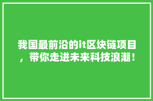 我国最前沿的it区块链项目，带你走进未来科技浪潮！ 必应SEO