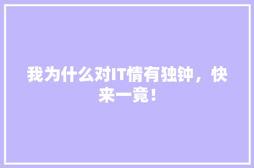我为什么对IT情有独钟，快来一竟！ 网站建设公司