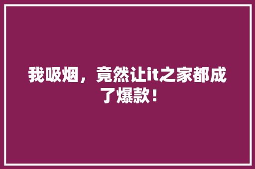我吸烟，竟然让it之家都成了爆款！ 必应SEO