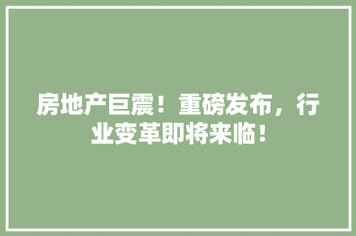 房地产巨震！重磅发布，行业变革即将来临！ 必应SEO