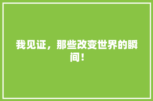 我见证，那些改变世界的瞬间！ 必应SEO