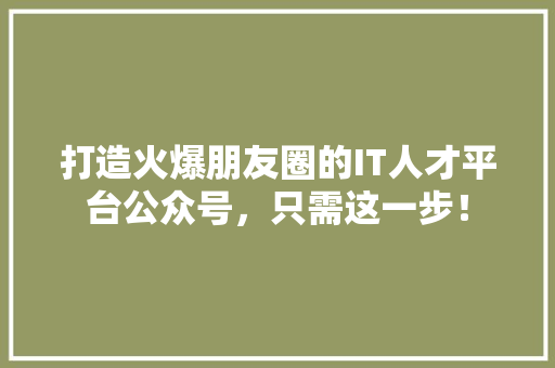 打造火爆朋友圈的IT人才平台公众号，只需这一步！ 搜狗SEO