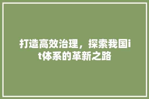 打造高效治理，探索我国it体系的革新之路 网站建设公司