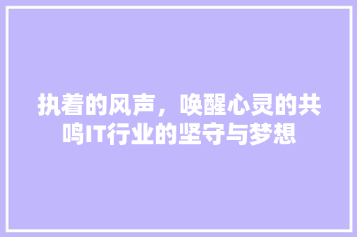 执着的风声，唤醒心灵的共鸣IT行业的坚守与梦想 网站建设公司