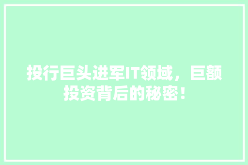 投行巨头进军IT领域，巨额投资背后的秘密！ SEO关键词