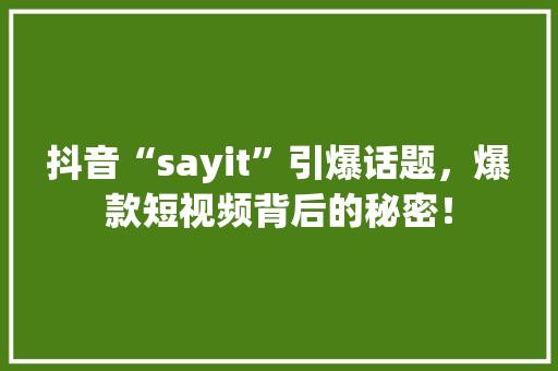 抖音“sayit”引爆话题，爆款短视频背后的秘密！ 神马SEO
