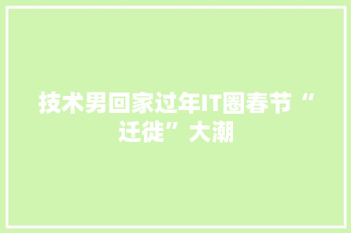 技术男回家过年IT圈春节“迁徙”大潮 百度SEO