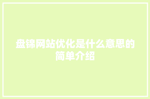 盘锦网站优化是什么意思的简单介绍