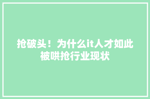 抢破头！为什么it人才如此被哄抢行业现状 搜狗SEO