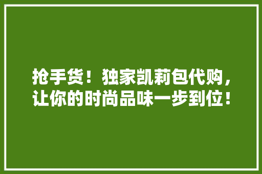 抢手货！独家凯莉包代购，让你的时尚品味一步到位！ 百度SEO