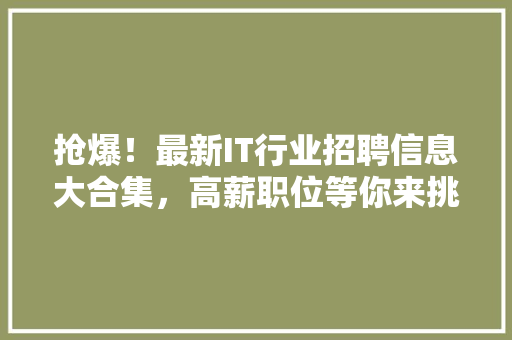 抢爆！最新IT行业招聘信息大合集，高薪职位等你来挑！ 神马SEO